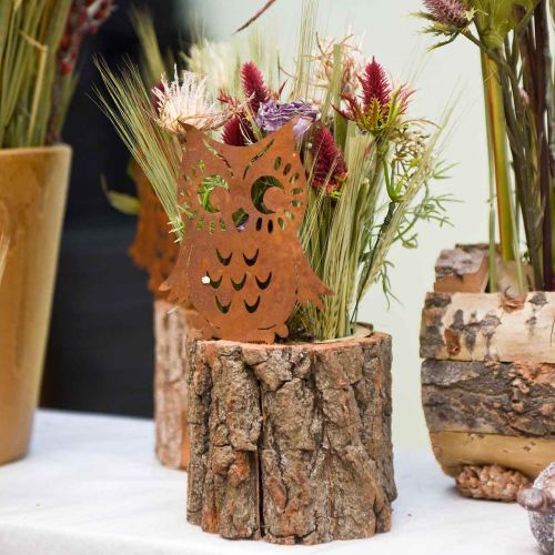 Floristik24 Pali da giardino gufo patina, autunno, decorazione in metallo H32cm 6pz