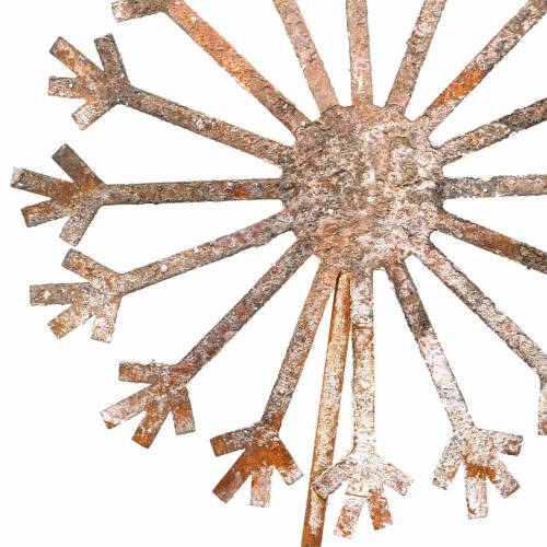 Floristik24 Tappo da giardino dente di leone patina metallo Ø18 H88cm