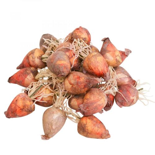 Mini barbabietole artificiali per decorazione vegetale Ø2,5 cm H3,5 cm 24 pz