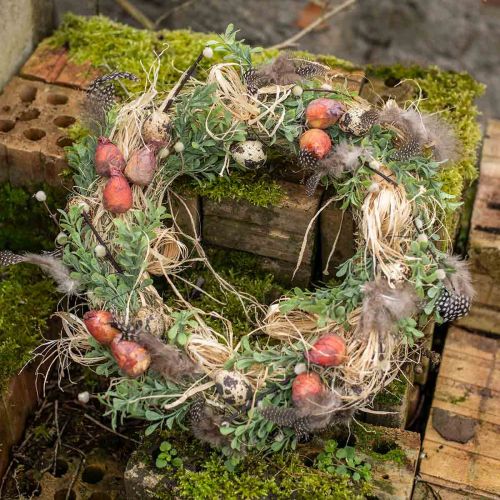 Prodotto Mini barbabietole artificiali per decorazione vegetale Ø2,5 cm H3,5 cm 24 pz