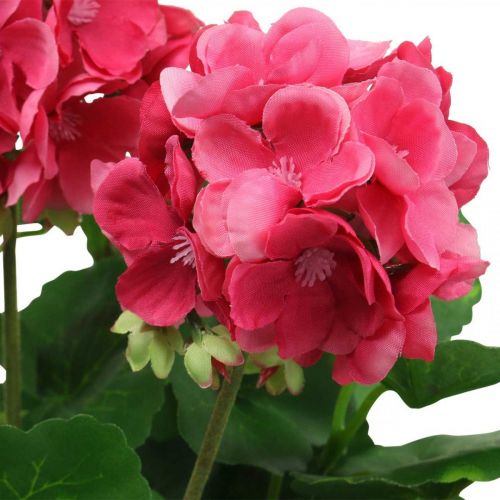 Prodotto Fiore artificiale geranio fiore balcone artificiale rosa 7 fiori H38cm