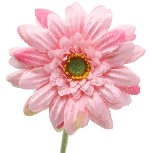 Floristik24 Gerbera rosa artificiale 47cm 12 pezzi