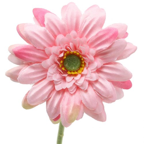 Prodotto Gerbera rosa artificiale 47cm 12 pezzi