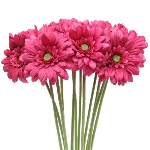 Floristik24 Gerbera Rosa 48cm 12 pezzi