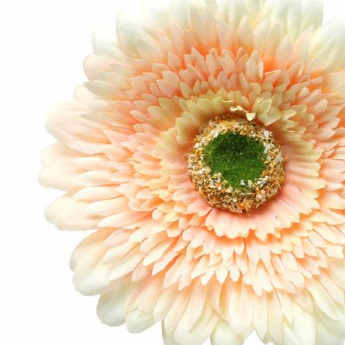 Floristik24 Gerbera pesca artificiale 62cm 6 pezzi