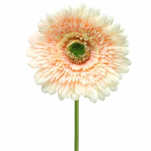 Floristik24 Gerbera pesca artificiale 62cm 6 pezzi