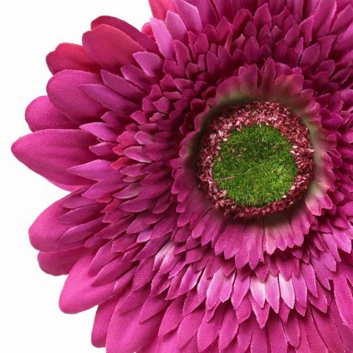 Floristik24 Gerbera artificiale viola 62cm 6 pezzi