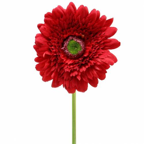 Floristik24 Gerbera artificiale rosso 62 cm 6 pezzi