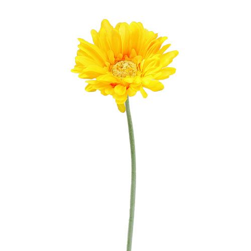 Floristik24 Gerbera artificiale gialla Ø10cm L55cm 6 pezzi