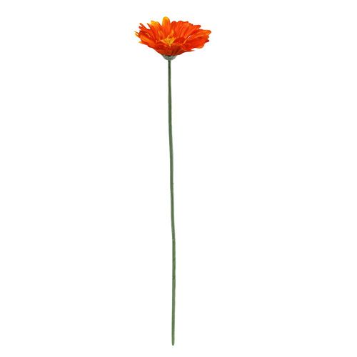 Floristik24 Gerbera Arancio Ø10cm L55cm 6pz