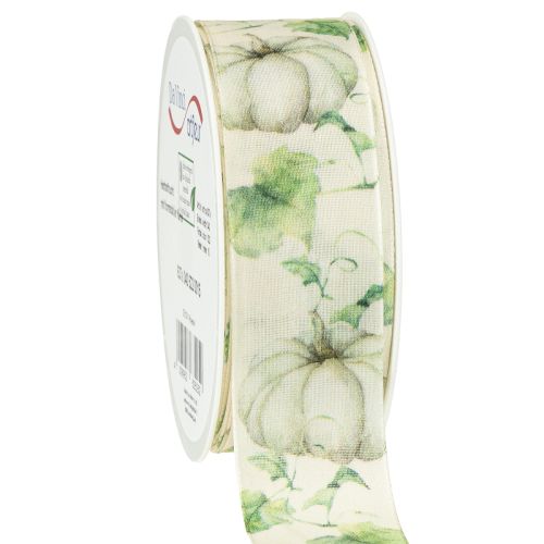 Floristik24 Nastro regalo zucca verde autunnale 40mm 15m
