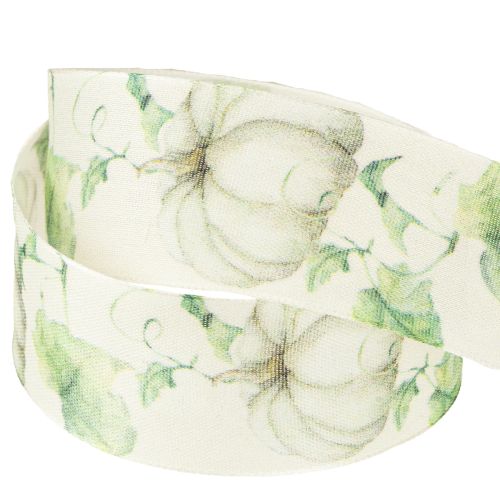 Prodotto Nastro regalo zucca verde autunnale 40mm 15m