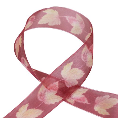 Prodotto Nastro regalo foglie d'acero nastro viola autunno 40mm 15m