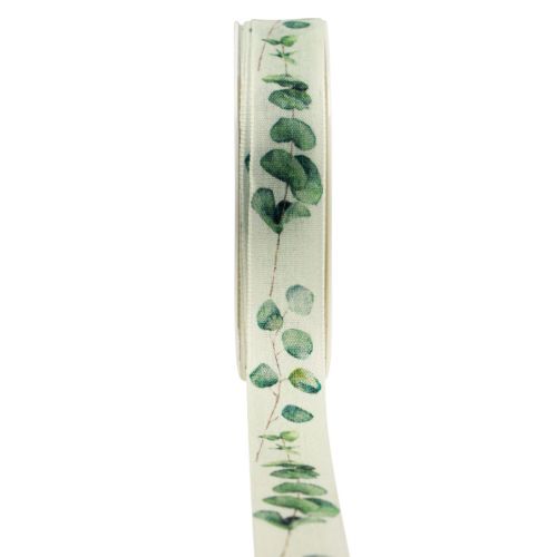 Floristik24 Nastro regalo nastro decorativo di eucalipto verde 25 mm 20 m