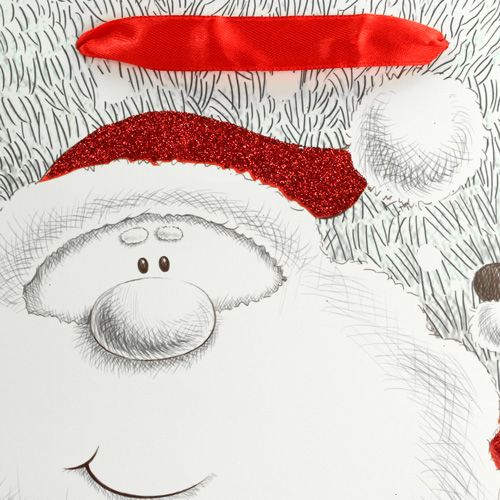 Floristik24 Sacchetto regalo con Babbo Natale 24 cm x 18 cm x 8 cm