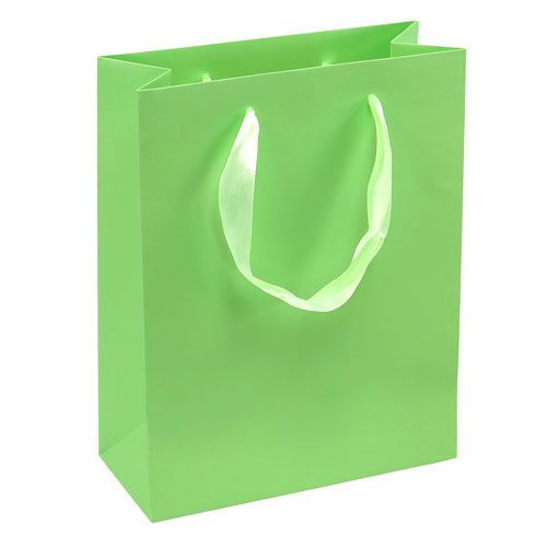 Floristik24 Sacchetto regalo verde chiaro 23 cm x 18 cm x 8 cm