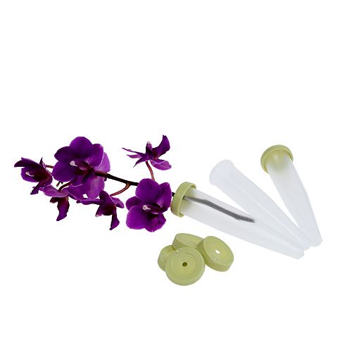 Floristik24 Tubi di disposizione 7,5 x 1,5 cm 100 pezzi