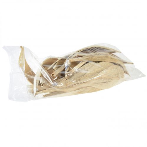 Prodotto Gusci di cocco, foglie di cocco sbiancate, 22-42 cm, 25 pezzi