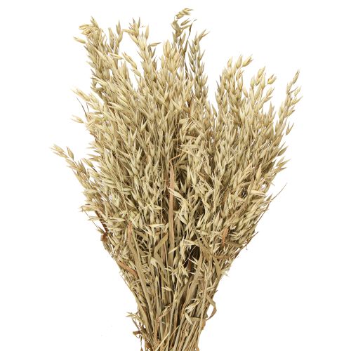 Prodotto Avena secca decorativa mazzo di avena naturale decorazione mazzo 60cm 200g