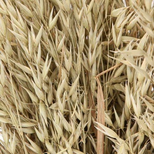Prodotto Avena secca decorativa mazzo di avena naturale decorazione mazzo 60cm 200g