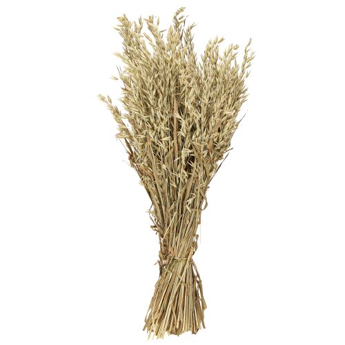 Prodotto Avena secca decorativa mazzo di avena naturale decorazione mazzo 60cm 200g