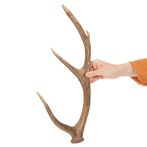 Corna artificiali decorative, decorazione rustica per baita, 50 cm | Floristik24.it