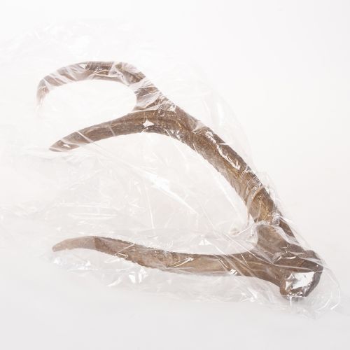 Corna artificiali decorative,