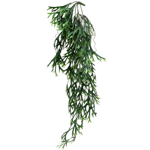 Floristik24 Arbusto di felce di corna appeso 84 cm