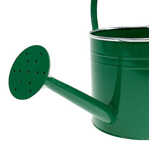 Prodotto Annaffiatoio decorativo verde scuro Ø20cm H18cm