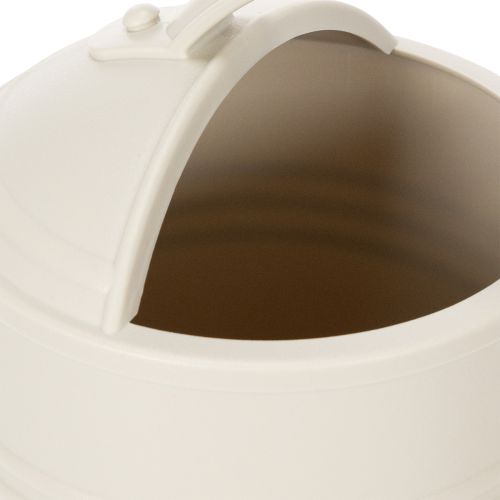 Prodotto Annaffiatoio con testa a rosa rimovibile. Ideale per piante da appartamento e balconi. Bianco. 32 cm.