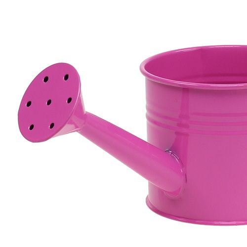 Prodotto Annaffiatoio mescolare Ø11cm H9,5cm 8 pz