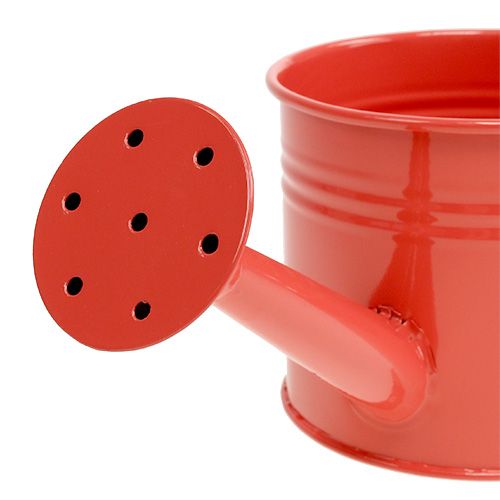 Floristik24 Annaffiatoio Orange Mix Ø11cm H9cm 8 pezzi