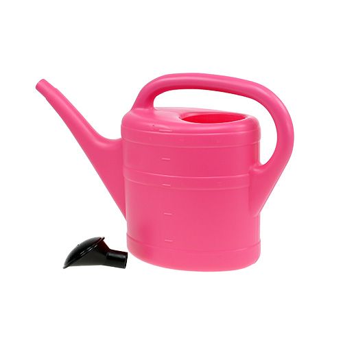 Floristik24 Annaffiatoio rosa 5l