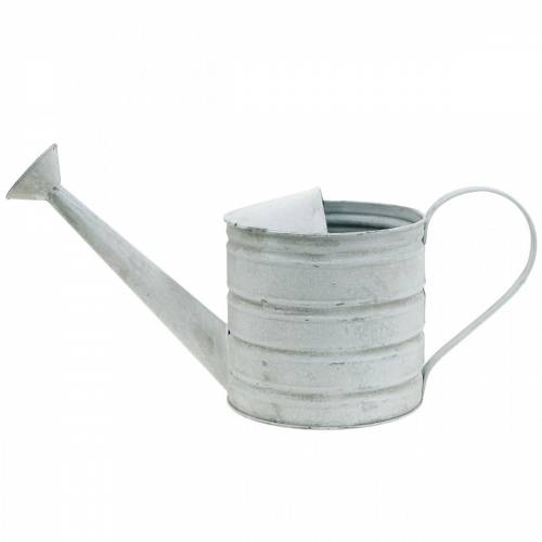 Floristik24 Annaffiatoio decorativo fioriera vintage in metallo lavato bianco H16cm