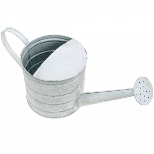 Floristik24 Annaffiatoio decorativo fioriera vintage in metallo lavato bianco H16cm