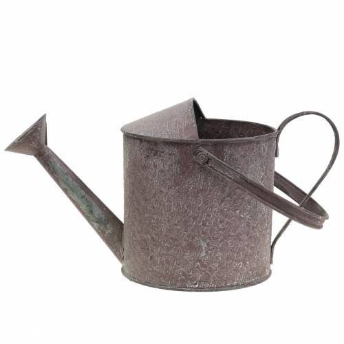 Floristik24 Annaffiatoio decorativo viola H15cm