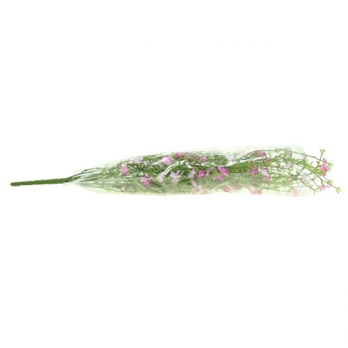 Floristik24 Cespuglio di ginestra lilla 60cm