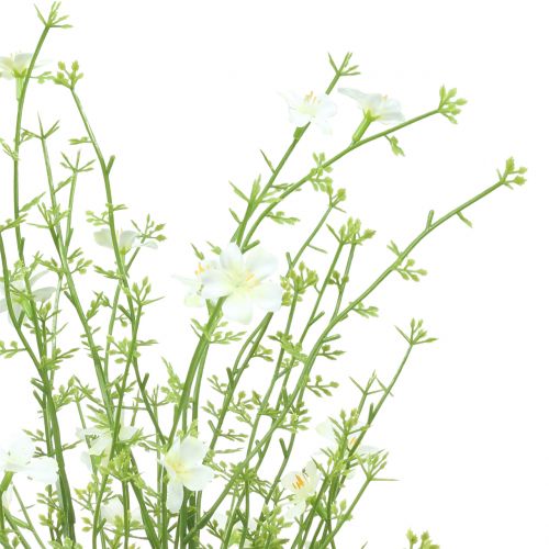 Floristik24 Arbusto di ginestre bianco 60cm