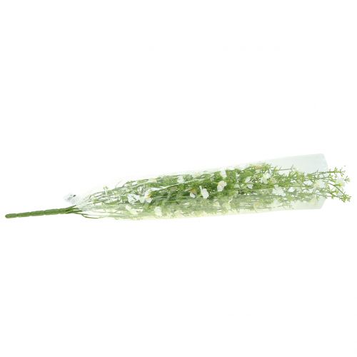 Floristik24 Arbusto di ginestre bianco 60cm