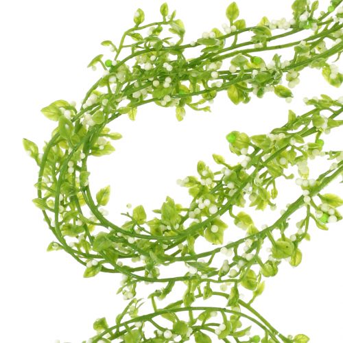 Floristik24 Ghirlanda di piante con bacche verdi L122cm