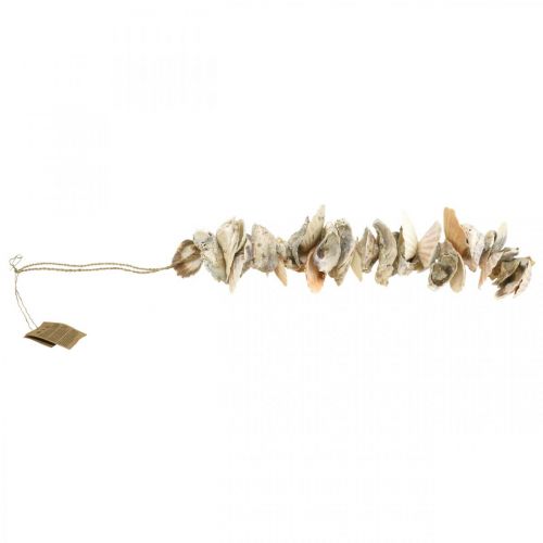 Floristik24 Ghirlanda di conchiglie, decoro estivo marittimo, catena di conchiglie naturali colori naturali L35cm