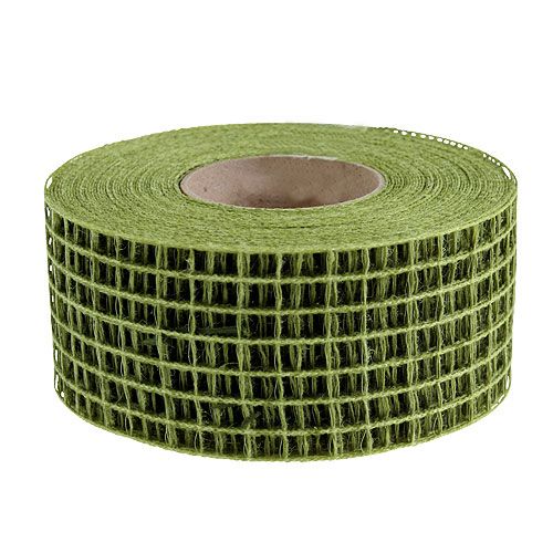 Floristik24 Nastro a rete 4,5 cm x 10 m verde muschio