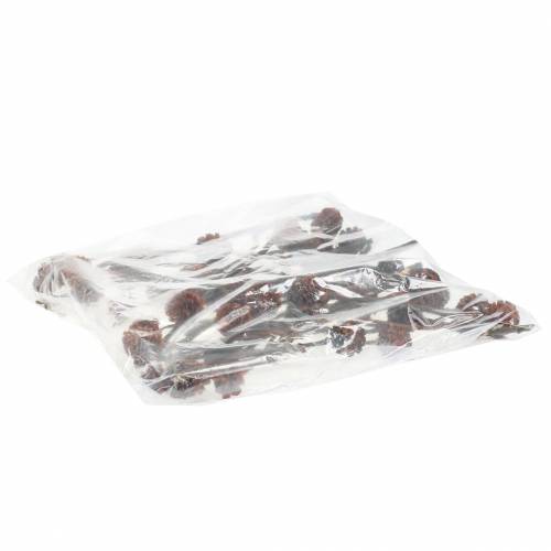 Prodotto Glabro II (1) 25 pz