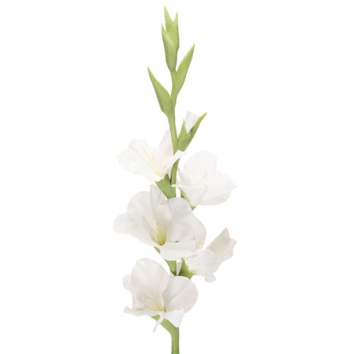 Gladiolo artificiale, a stelo lungo, per vasi, 88 cm acquistare | Floristik24.it