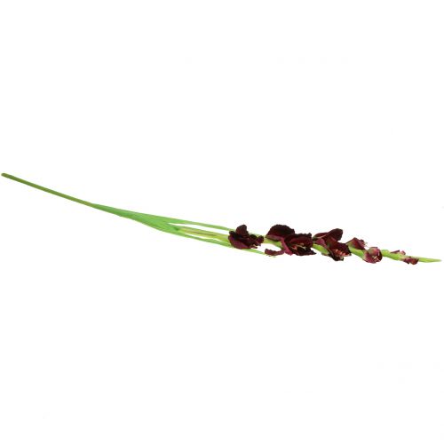 Floristik24 Gladiolo Real-Touch Bordeaux 93cm