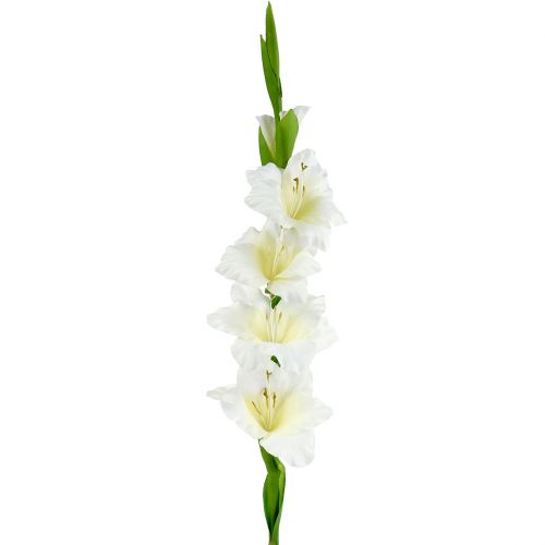 Floristik24 Gladiolo bianco 86 cm artificiale