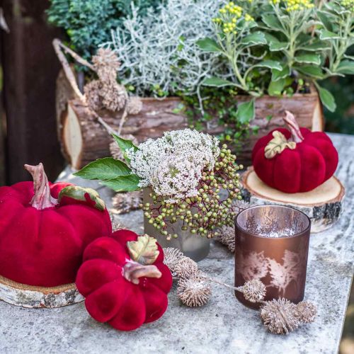 Floristik24 Lanterna in vetro, tealight in vetro con motivo a foglia, decorazione autunnale Ø8cm H9cm 2 pezzi
