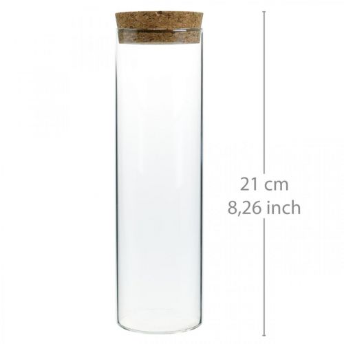 Prodotto Bicchiere con tappo in sughero Cilindro in vetro con tappo in sughero Trasparente Ø6cm H21cm