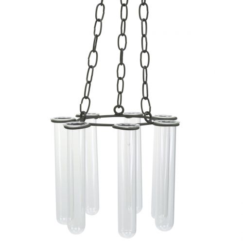 Floristik24 Provetta ghirlanda sospesa Ø18cm