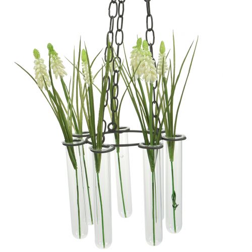 Floristik24 Provetta ghirlanda sospesa Ø18cm